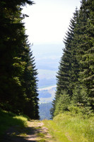 /album/leto1/dsc-0049-jpg1/