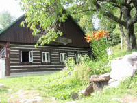 /album/leto1/p8010552-jpg1/