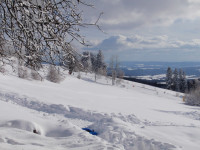 /album/zima1/p2060236-jpg1/