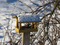 /album/zima1/img-0003-jpg1/