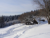 /album/zima1/p1180446-jpg1/